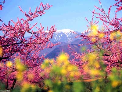 �����һ�Դ