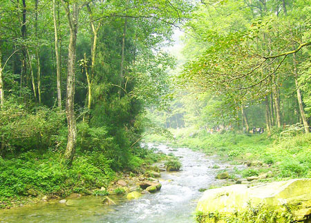 ���Ϫ���^(q��)